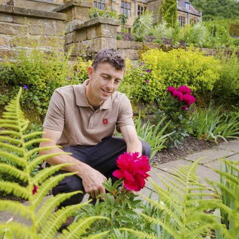 Photo of a gardener looking at a flower in the gardens of Mount Grace Priory