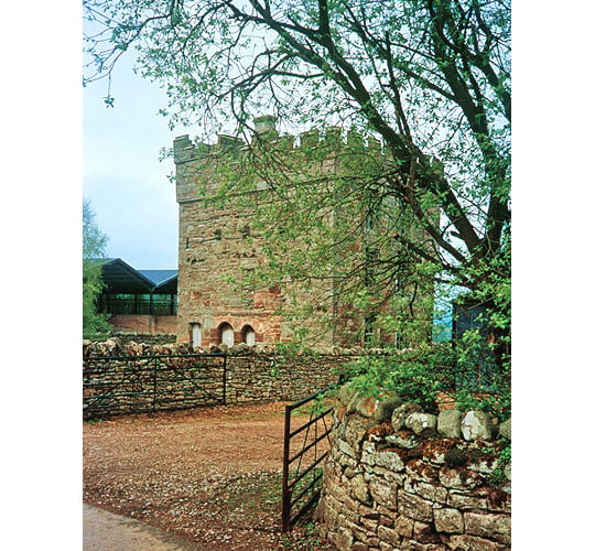 View of Clifton Hall from the entrance to the site, the hall partly obscured by a large tree next to the gate