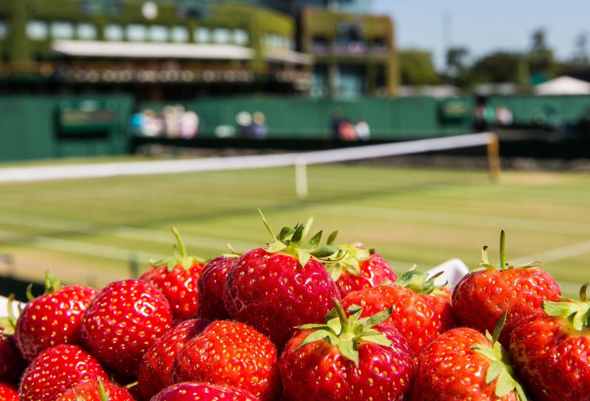 strawberry-tennis-resize.jpg