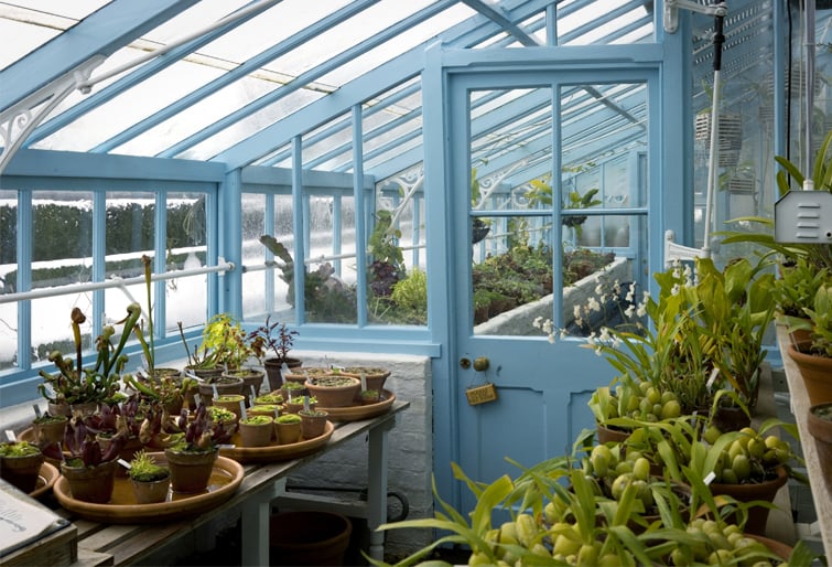 Greenhouse.jpg