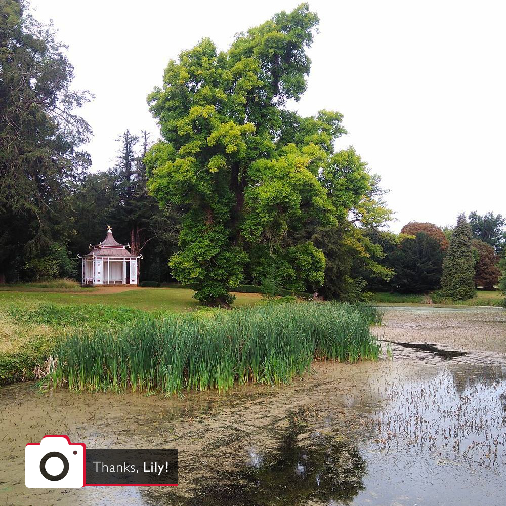 lilylawton_wrestpark.jpg