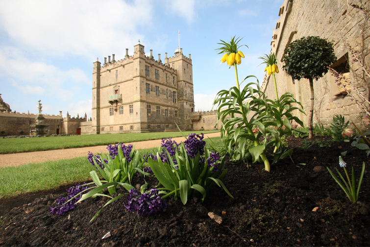 Bolsover-garden.jpg