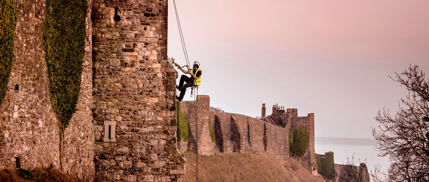 Image: abseiling conservationists at Dover Castle