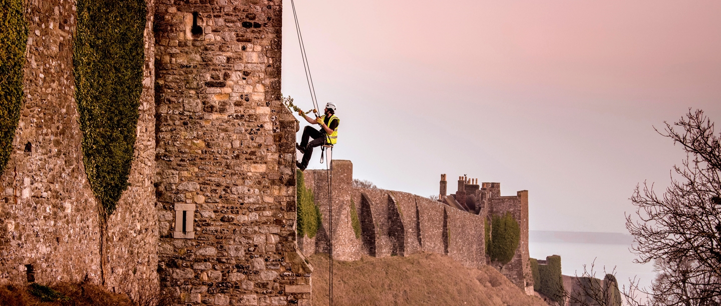Image: abseiling conservationists at Dover Castle