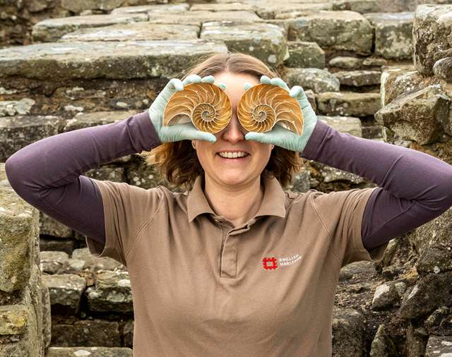 English Heritage curator Frances McIntosh gets up close with an internationally important 18th-century shell collection