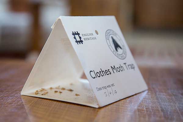 Clothes moth traps deals