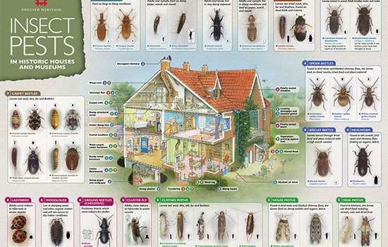 https://www.english-heritage.org.uk/siteassets/home/learn/conservation/operation-clothes-moth/operation-clothes-moth-form/eh-pest-poster-fin_web_lr.jpg?w=550&h=350&mode=crop&scale=both&cache=always&quality=60&anchor=&WebsiteVersion=20231208103628