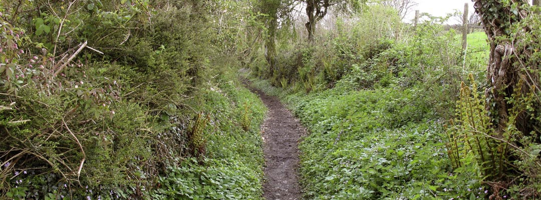 This path to Lydford Saxon Town in Devon dates from the 9th century This path to Lydford Saxon Town in Devon dates from the 9th century