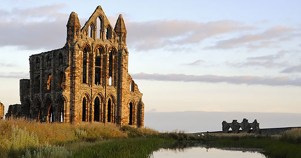 Whitby synod