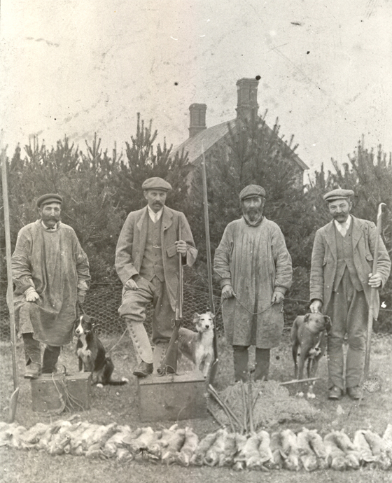Warreners, probably at Barnham, Suffolk, in the early 20th century