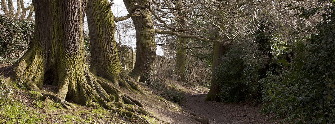 Gryme’s Dyke, part of the defensive earthworks of pre-Roman Colchester (Camulodunum)