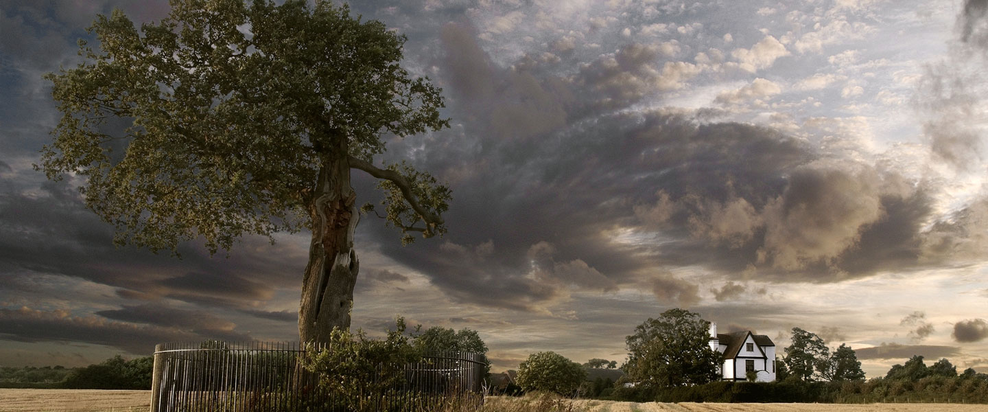 Boscobel House and a descendant of the oak tree in which Charles II hid from Parliamentarian forces in 1651