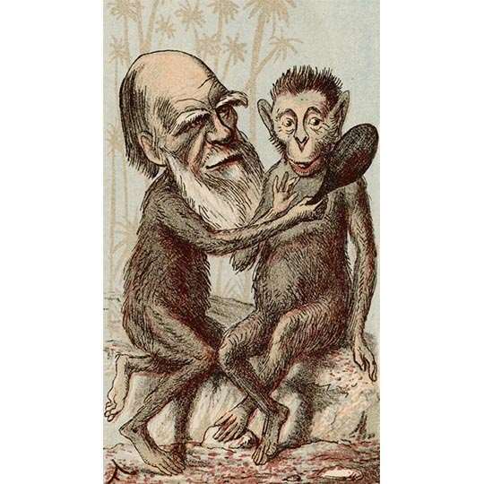 Charles Darwin shares his likeness with an ape in this 1874 cartoon from the ‘London Sketchbook’