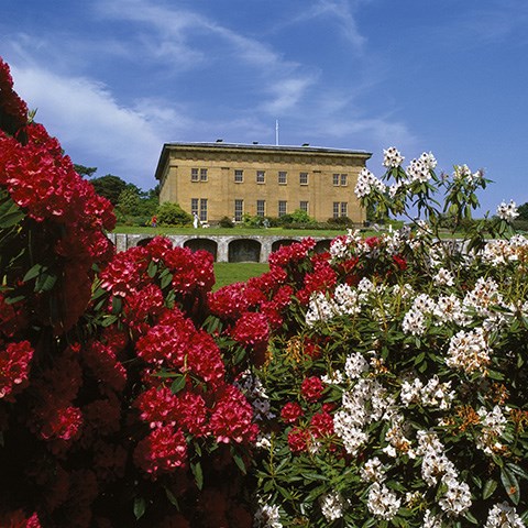 PLANTING COLLECTING AROUND THE WORLD