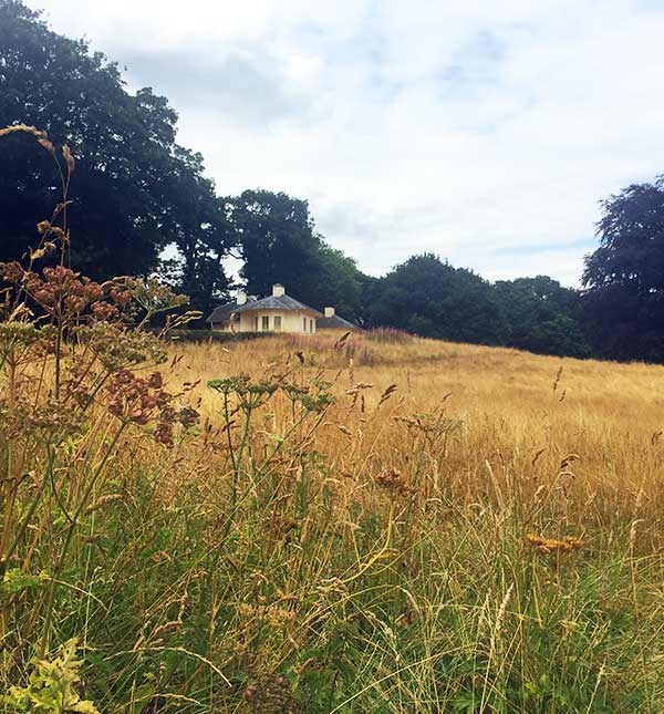 CARING FOR OUR MEADOWS
