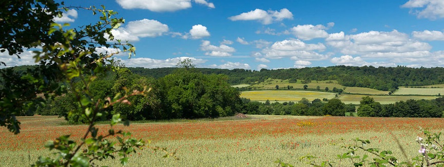 A view across rolling green hills and fields. 