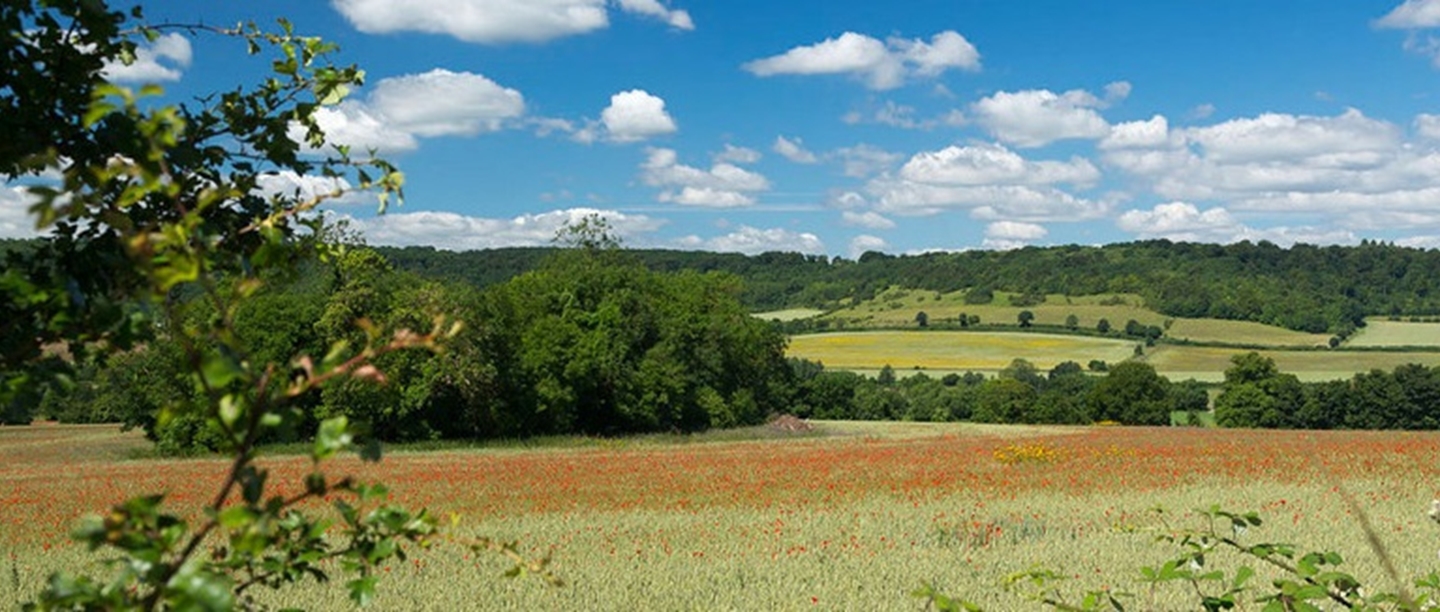 A view across rolling green hills and fields.