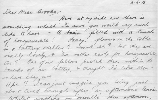 3 June 1916 Pendennis Castle - Flowers at Pendennis.