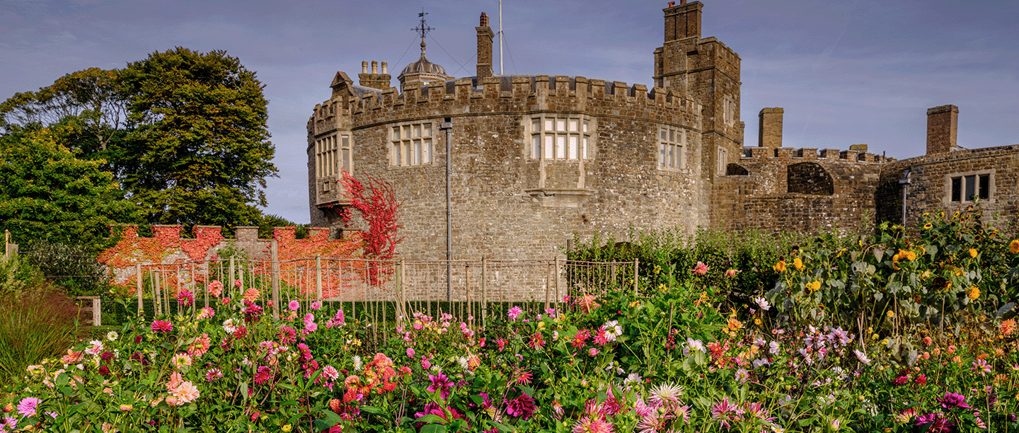 Photo of colourful dahlias and other flowers in the kitchen garden at Walmer Castle and Gardens on a clear day