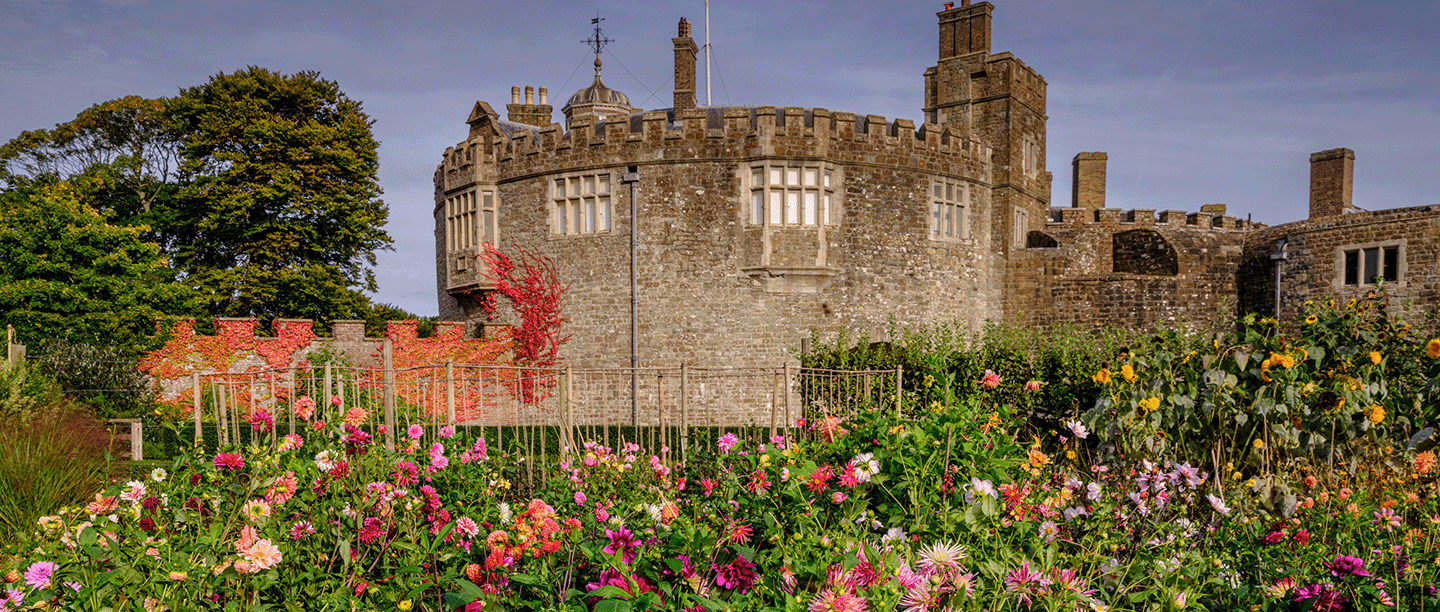 Photo of colourful dahlias and other flowers in the kitchen garden at Walmer Castle and Gardens on a clear day