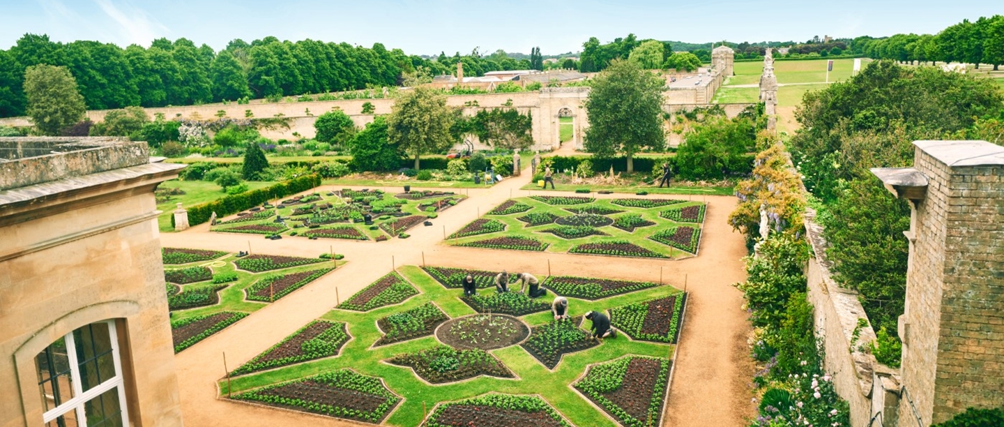 Image: The gardening team at Wrest Park planting the parterre gardens 