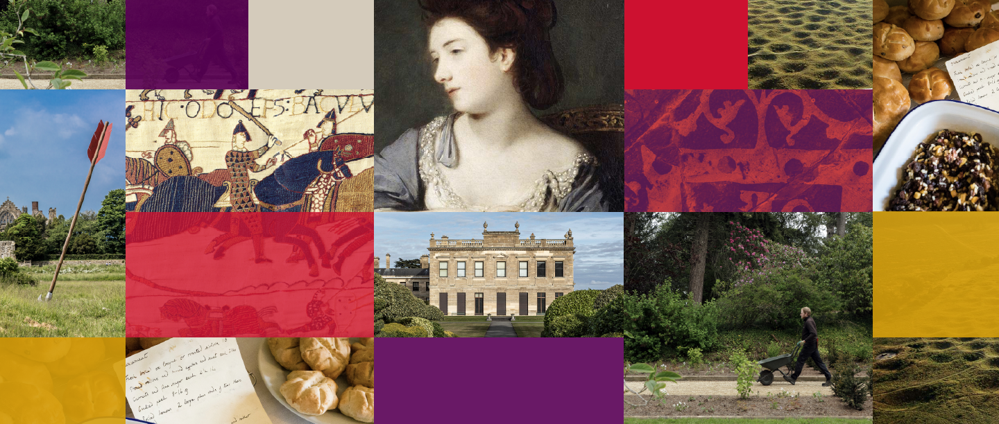 Image: collection of images