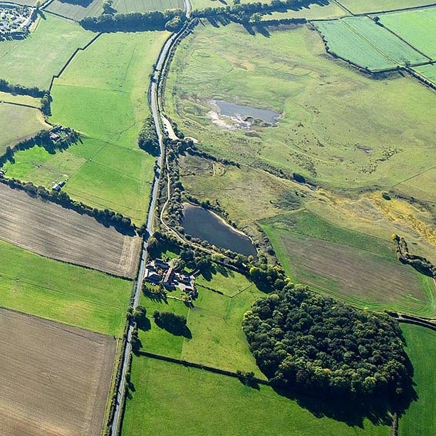 Aerial photo of the tree-covered northern henge at Thornborough, set amongst an agricultural landscape