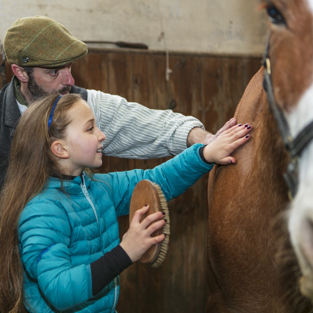 Photo of an adult showing a child how to groom a horse at Audley End House and Gardens