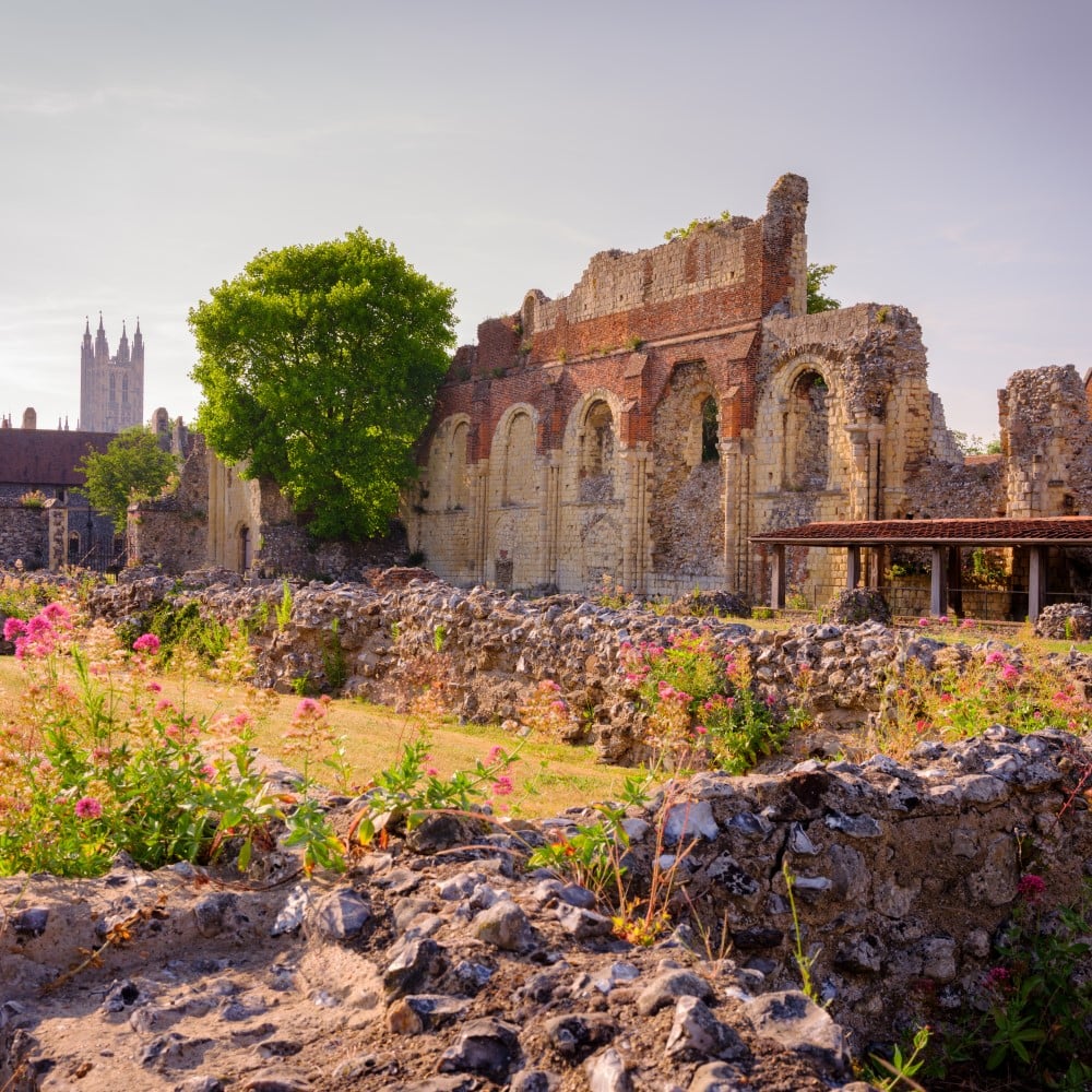 Photo of the remains of St Augustine's Abbey with wildflowers growing around
