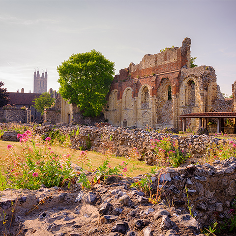 Photo of pink wildflowers growing among the remains of St Augustine's Abbey in Canterbury