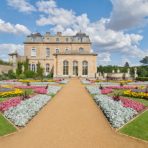 Photo of colourful flowers in the parterre garden at Wrest Park