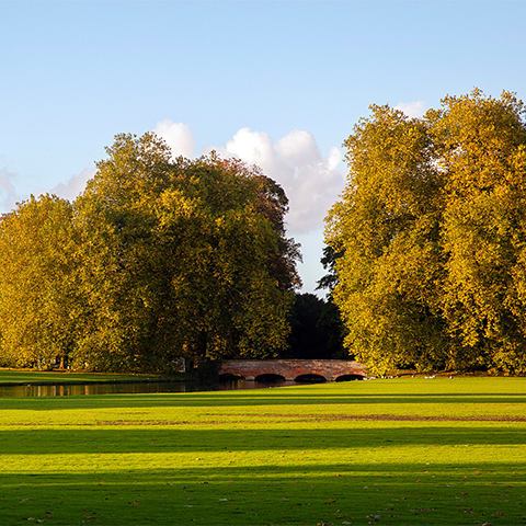 Photo of trees, a river and a bridge in the grounds of Audley End House and Gardens on a sunny day
