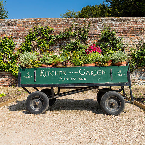 Photo of a cart filled with plants in the Kitchen Garden at Audley End House and Gardens