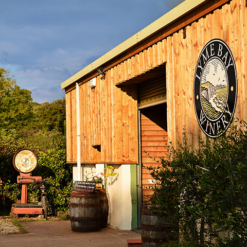 Photo of the exterior of Lyme Bay Winery on a sunny day