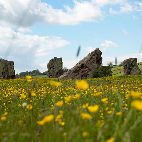 Image: Stanton Drew stone circle