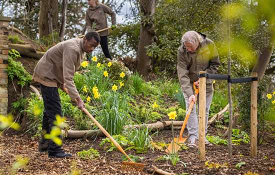 Image: volunteers digging in Marble Hill gardens