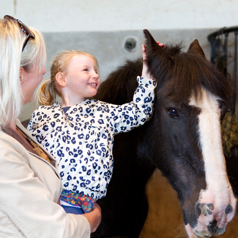 Image: mother and daughter stroking a horse Image: mother and daughter stroking a horse