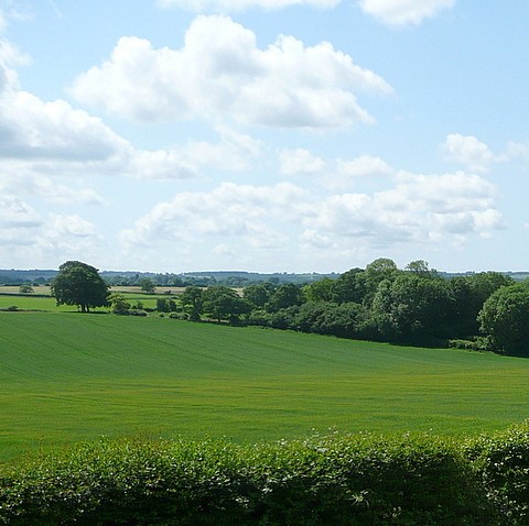 Photo of fields, trees and hedgerows at Cheriton in Hampshire