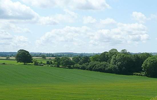 Photo of fields, trees and hedgerows at Cheriton in Hampshire