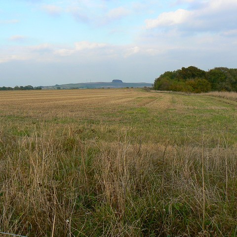 Photo of a field with trees and a hill in the background