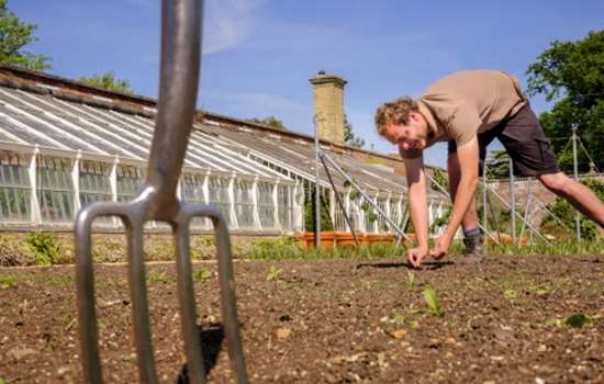 Photo of a gardener planting seeds at Osborne on the Isle of Wight with a gardening fork stuck in the ground in the foreground