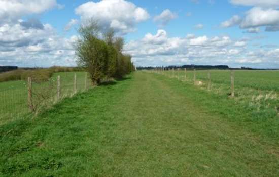 Photo of a grassy path leading between two fields at Towton in North Yorkshire