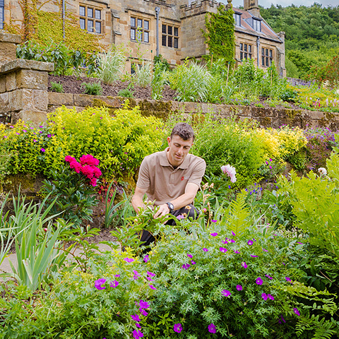 Image: head gardener James Taylor at Mount Grace Priory, House and Gardens