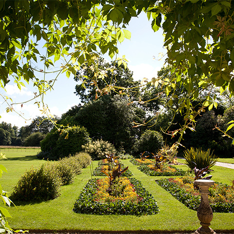 Image: garden at Down House