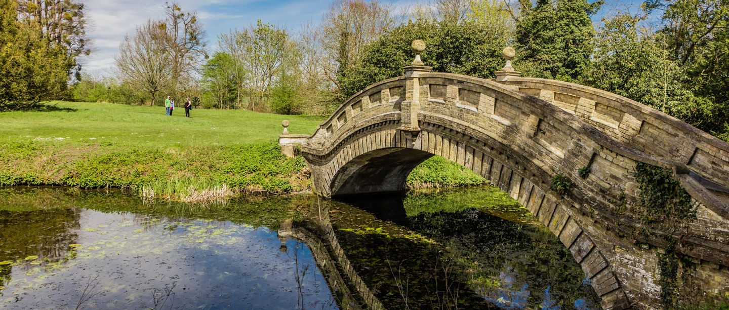 Image: The 20 Question Quiz