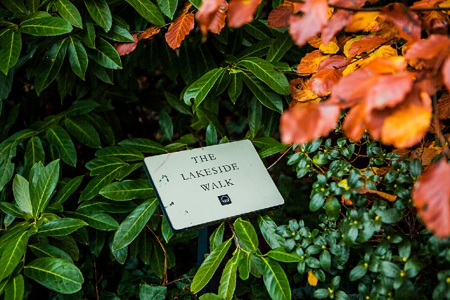 Witley Court and Gardens, Worcestershire