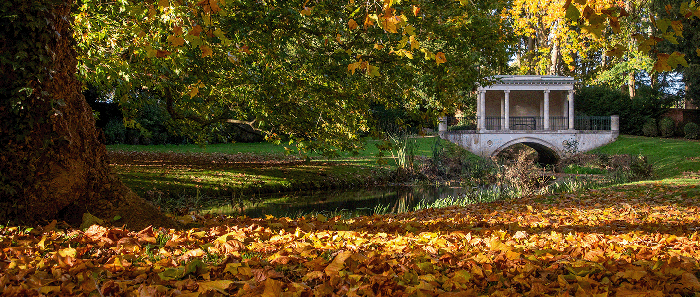 Photo of colourful autumn leaves in the Elysian Garden at Audley End House and Gardens in Essex, with the Tea House Bridge in the background