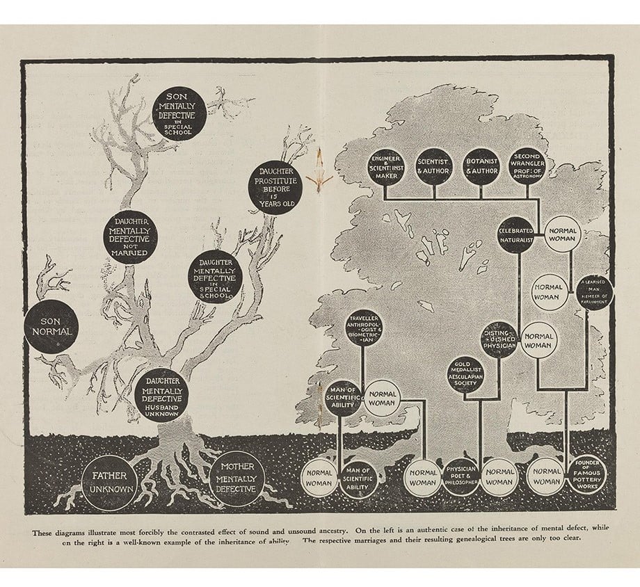 Ein Diagramm, das die gegensätzliche Wirkung von „gesunder und ungesunder Abstammung“ veranschaulicht.  Aus einer Broschüre der Eugenics Education Society, Anfang des 20. Jahrhunderts