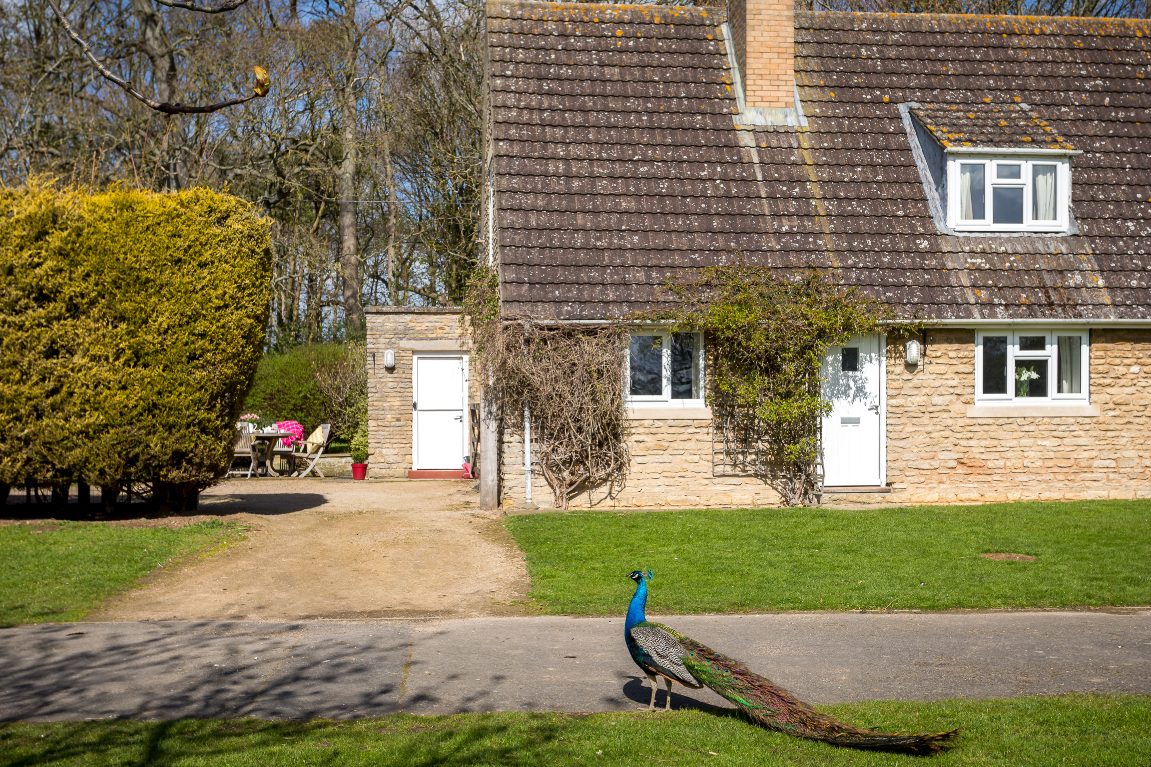 Exterior of Peacock Cottage