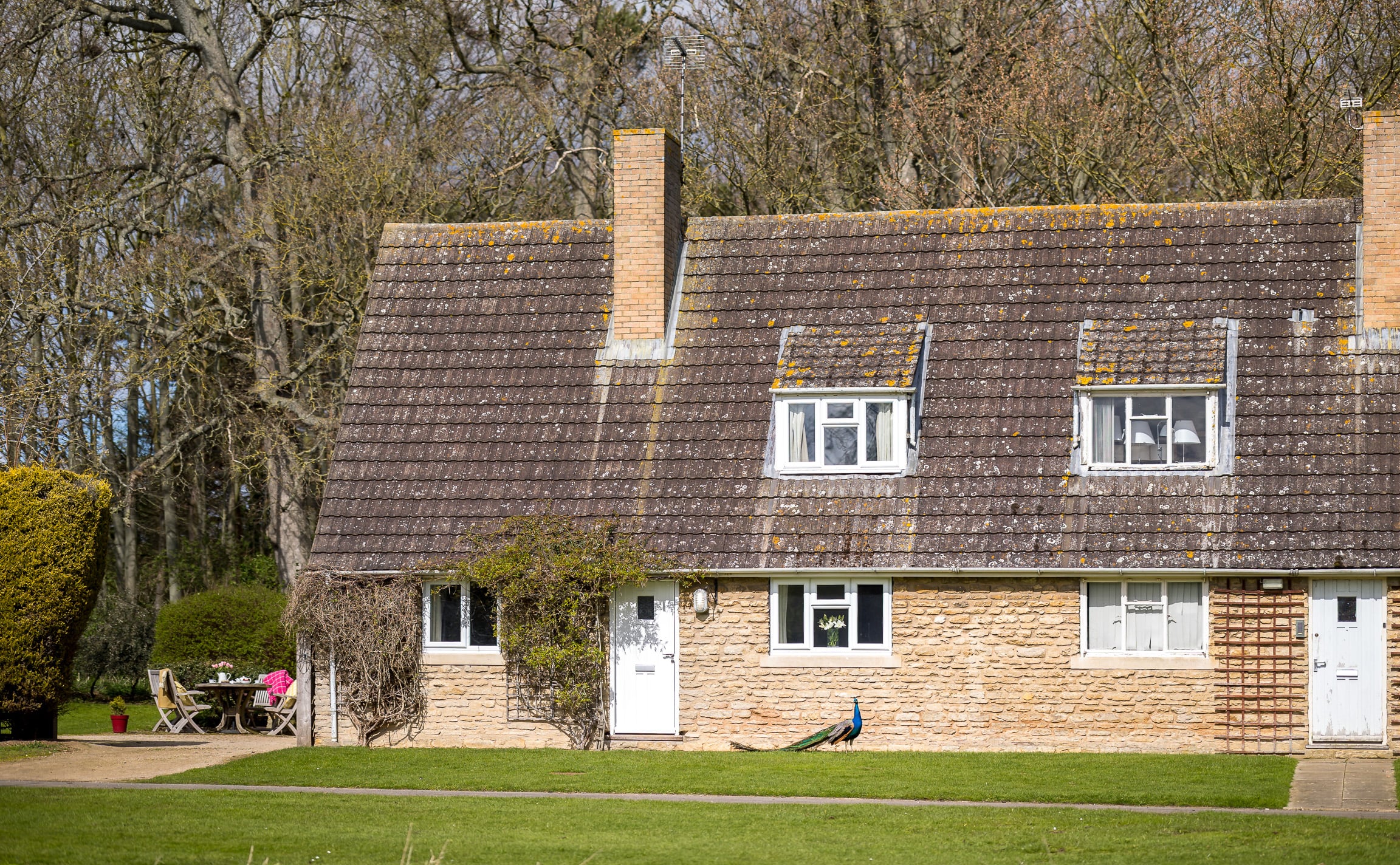 Peacock Cottage